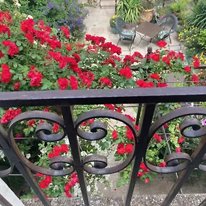 **** Bed and breakfast La Maison Des Augustins 4 Stars Et Fitness Francia